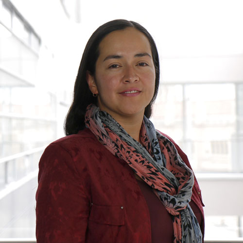 Paula Viviana Robayo Acuña