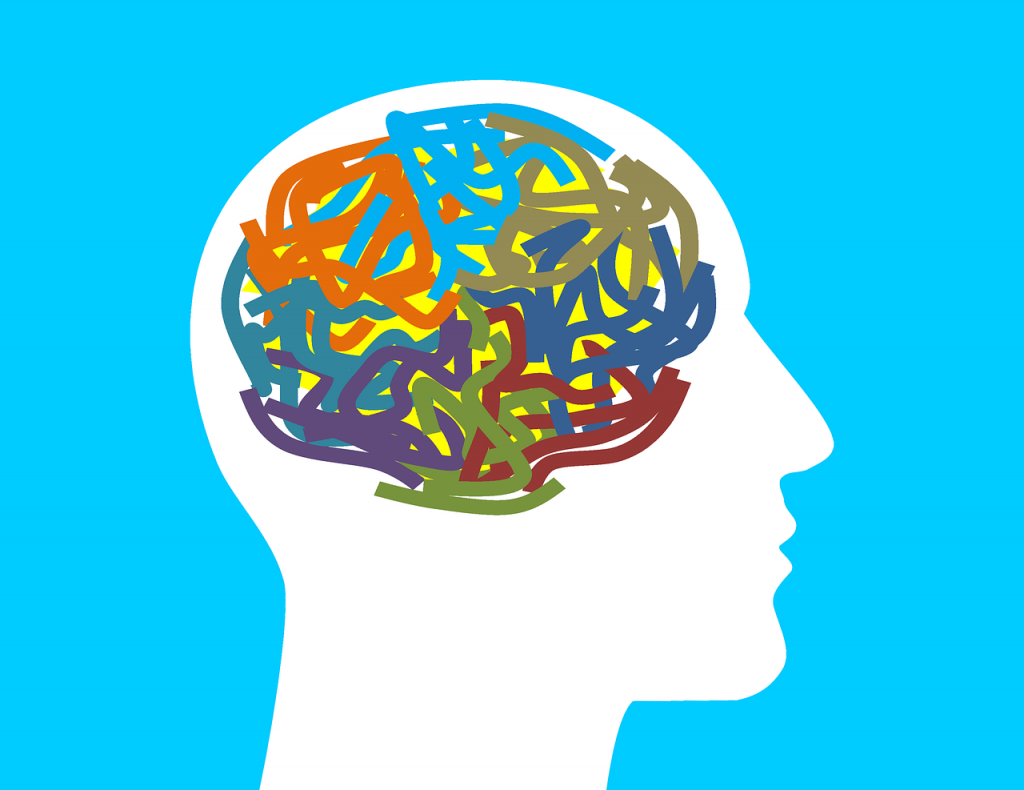 psicología y el cerebro humano
