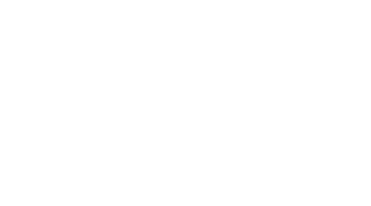 Logo 6