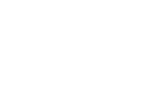 Logo 9
